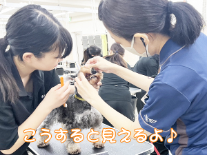 毎日の歯みがきで健康を守ります☆